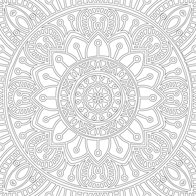 Refreshing Mandala- Colouring Book for Adults Book 2 : Colouring Books for Peace and Relaxation Book by Dreamland Publications 9789350897614