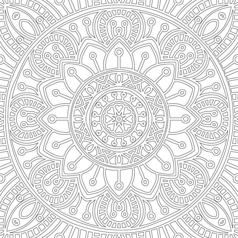 Refreshing Mandala- Colouring Book for Adults Book 2 : Colouring Books for Peace and Relaxation Book by Dreamland Publications 9789350897614