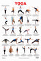 Yoga Chart - 1 : Reference Educational Wall Chart by Dreamland Publications