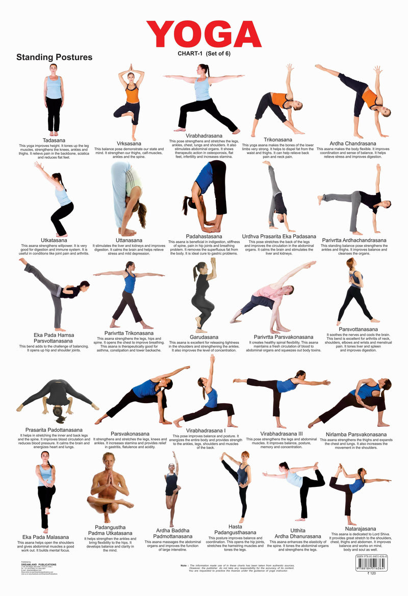 Yoga Chart - 1 : Reference Educational Wall Chart by Dreamland Publications