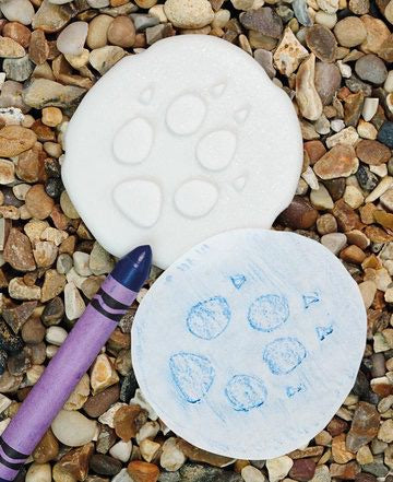 Let's Investigate - Polar Footprints (Set of 8 Stones)
