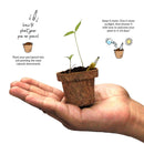 PLANTABLE PENS & PENCIL GIFT BOX - Mini Grow Kit (cylinder box)