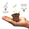 PLANTABLE PENS & PENCIL GIFT BOX - Mini Grow Kit (cylinder box)
