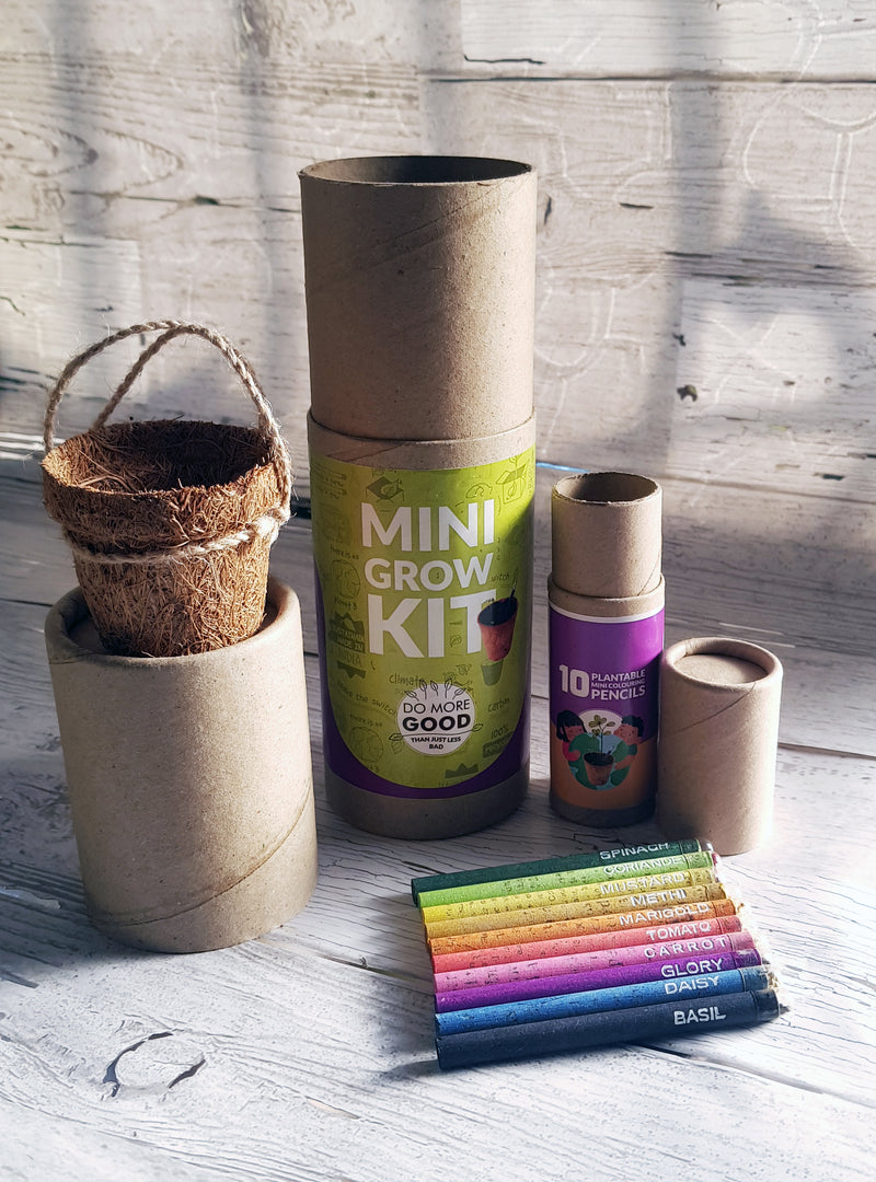 PLANTABLE PENS & PENCIL GIFT BOX - Mini Grow Kit (cylinder box)