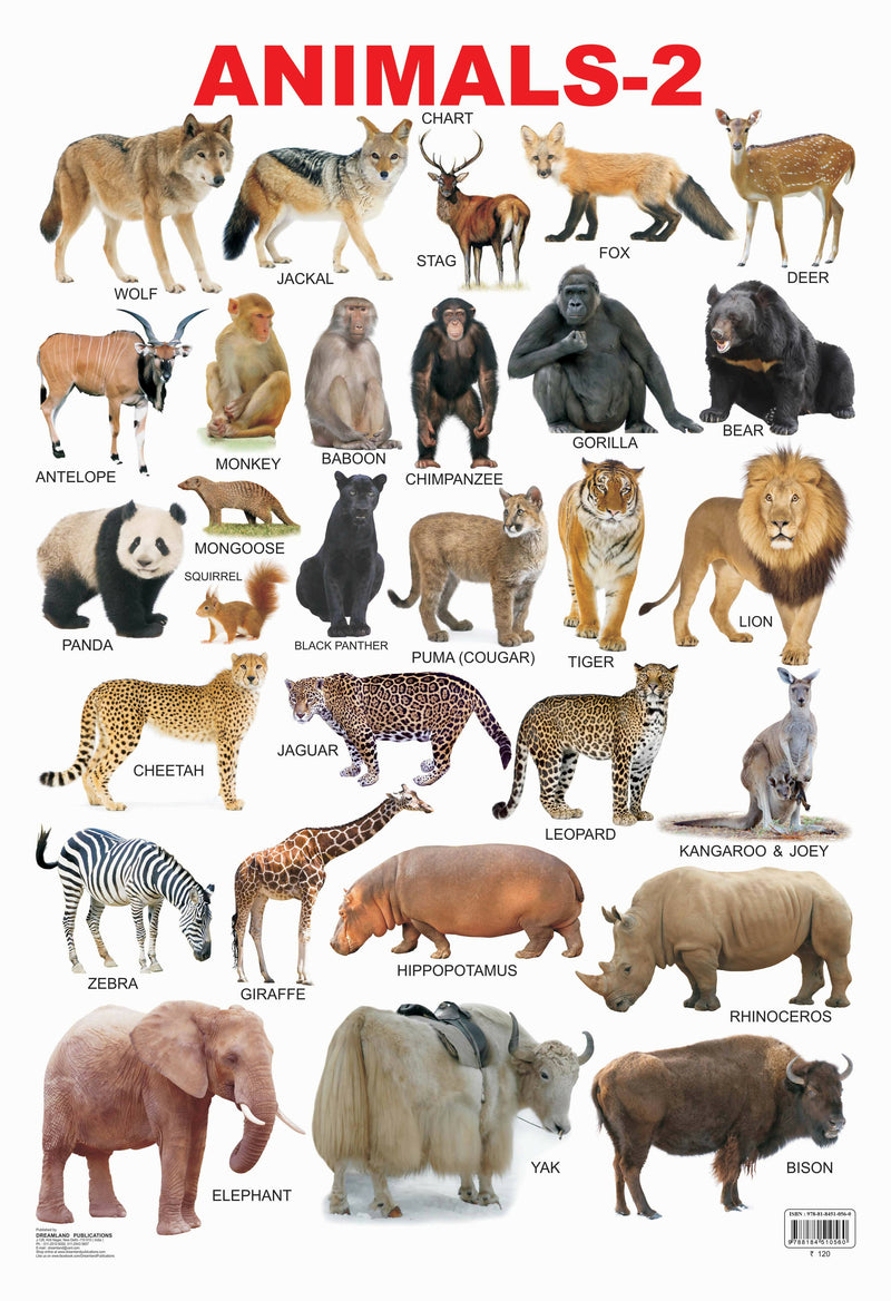 Animals-2 : Reference Children Book By Dreamland Publications