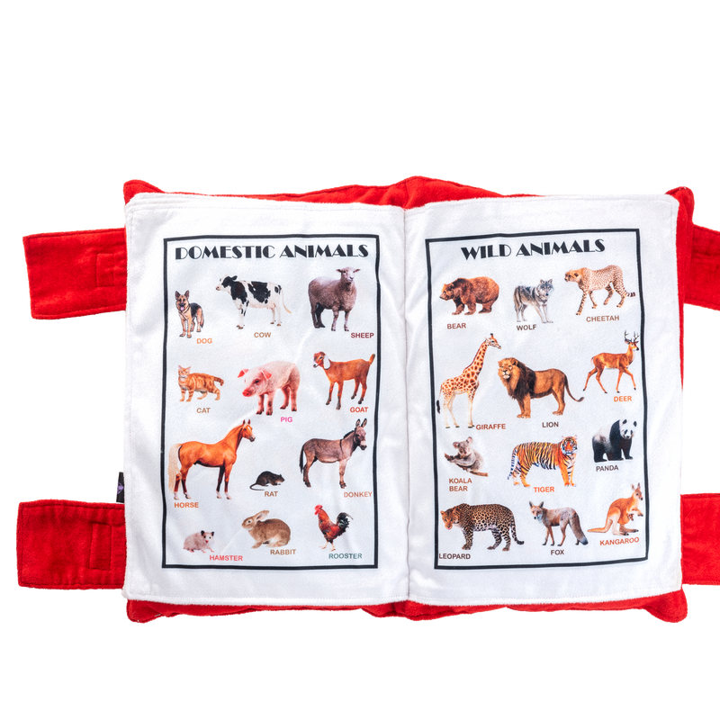 Educational Pillow Book