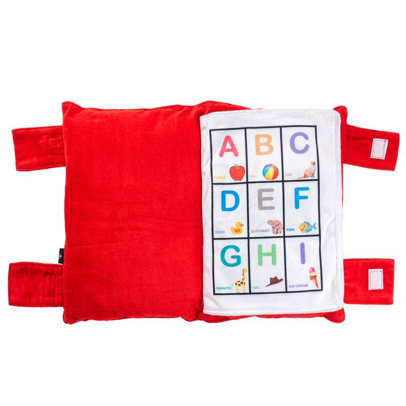 Educational Pillow Book