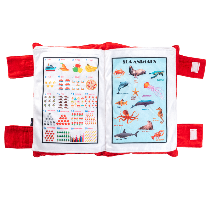 Educational Pillow Book