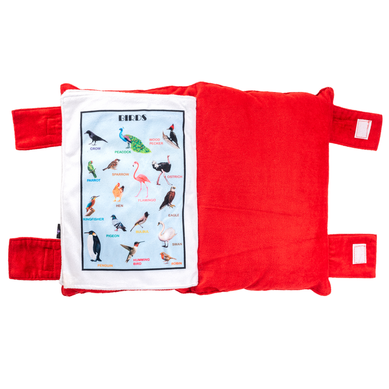 Educational Pillow Book