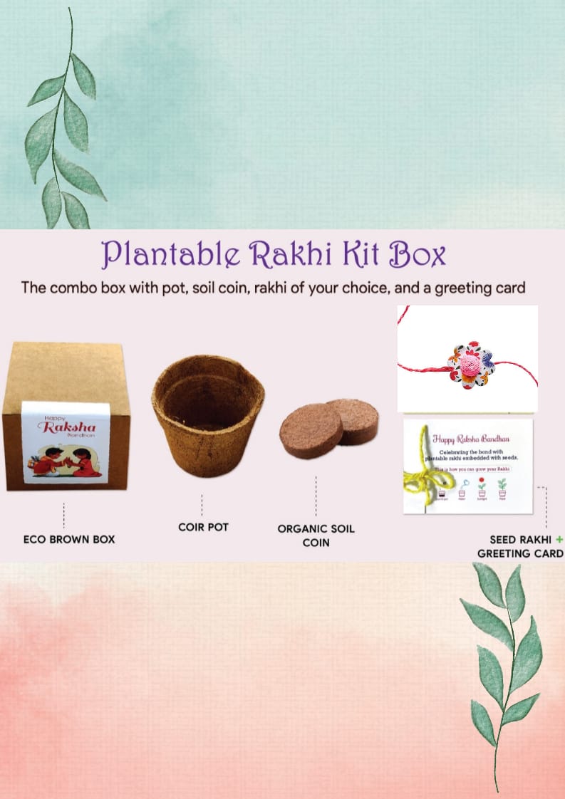 Plantable Rakhi Kit - Pink