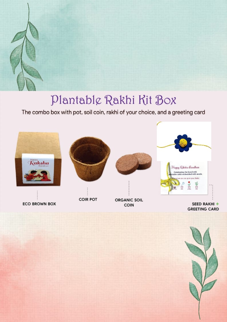 Plantable Rakhi Kit - Blue