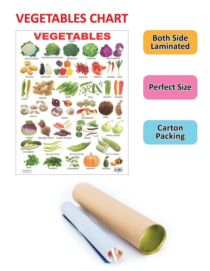 Vegetables : Reference Educational Wall Chart By Dreamland Publications