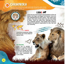 Animals- Wow Encyclopedia in Augmented Reality : Reference Children Book By Dreamland Publications