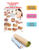 The Child Birth : Reference Educational Wall Chart by Dreamland Publications