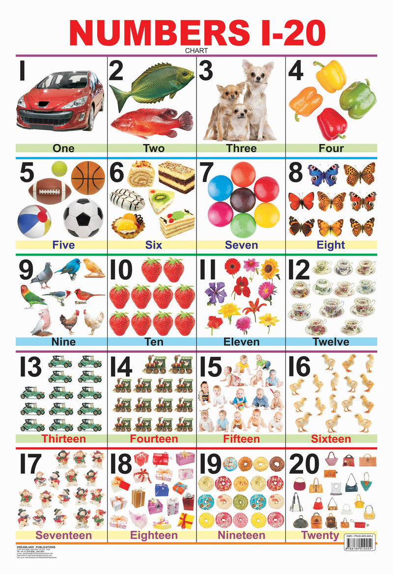 Numbers 1-20 : Reference Educational Wall Chart By Dreamland Publications