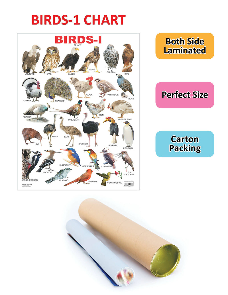 Birds-1 : Reference Children Book By Dreamland Publications