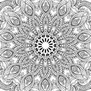 Refreshing Mandala - Colouring Book for Adults Book 5 : Colouring Books for Peace and Relaxation Children Book By Dreamland Publications 9789350897935