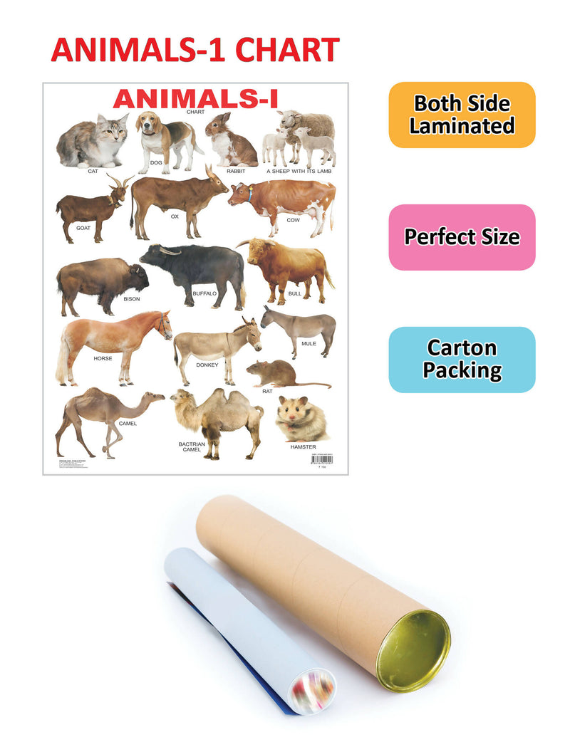 Animals-1 : Reference Children Book By Dreamland Publications