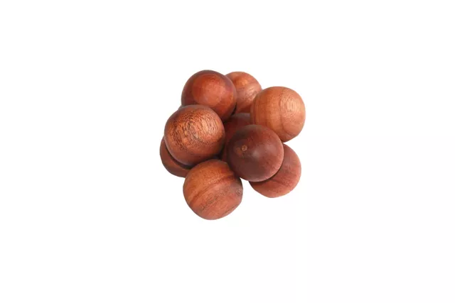 Thasvi Wooden Clasping Beads  (3 months +) - Touch. Feel. Explore.