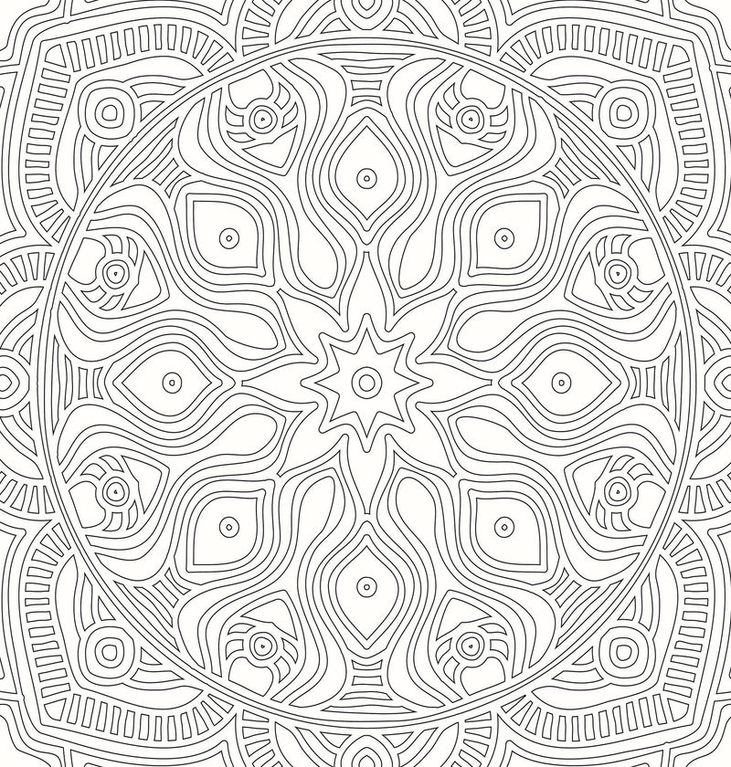 Refreshing Mandala- Colouring Book for Adults Book 1 : Colouring Books for Peace and Relaxation Children Book By Dreamland Publications 9789350897607