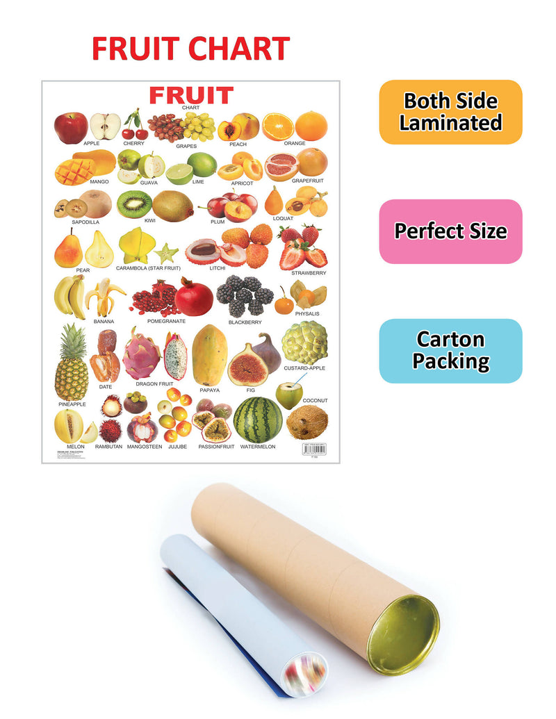 Fruits (All in One) : Reference Educational Wall Chart By Dreamland Publications