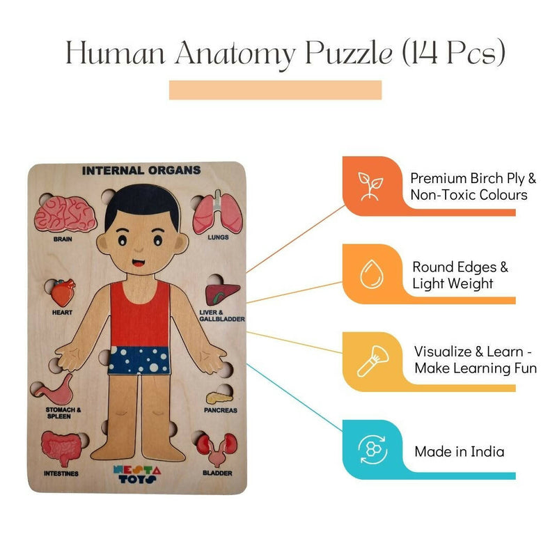 Nesta Toys, educational toys, homeschooling toys, Nesta toys, wooden toys, pretend play toys, role play toys, toys for toddlers, gift ideas for kids, human body puzzle, human anatomy puzzle, wooden puzzle