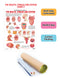 The Mouth, Tongue & Speech : Reference Educational Wall Chart by Dreamland Publications