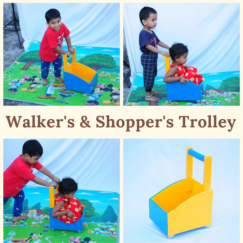 Walker's and Shopper's Trolley
