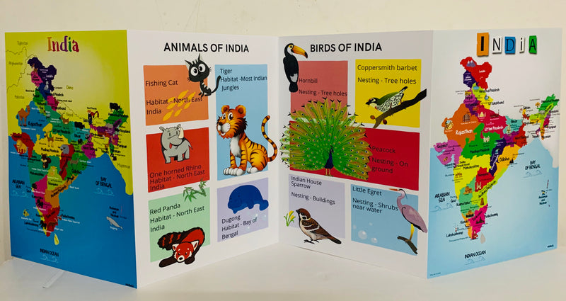 India Themed Wall Book