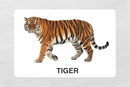 Wild Animals Flash cards