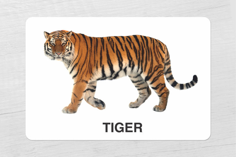 Wild Animals Flash cards