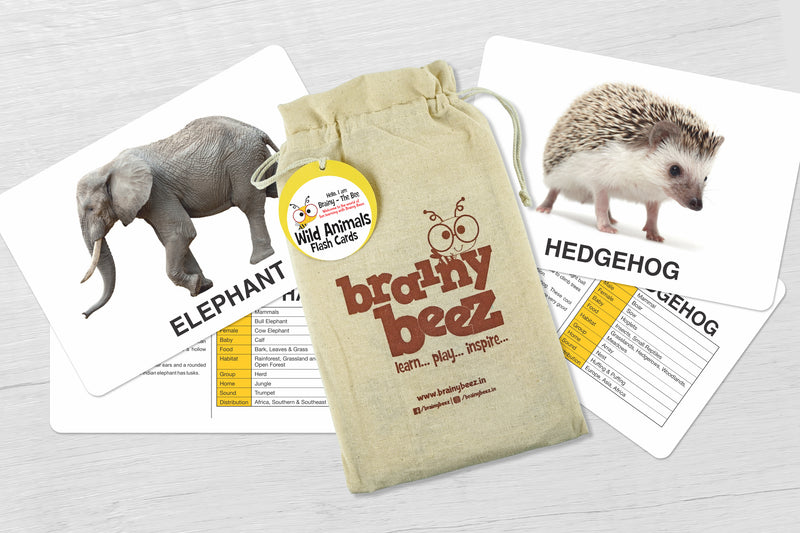 Wild Animals Flash cards