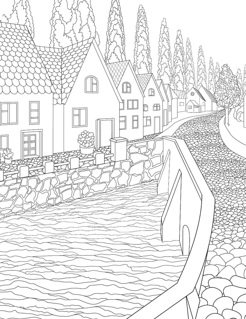 Countryside- Colouring Book for Adults : Colouring Books for Peace and Relaxation Children Book By Dreamland Publications