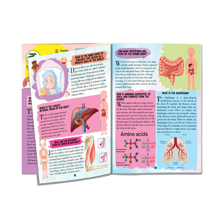 Human Body Encyclopedia for Children Age 5 - 15 Years- All About Trivia Questions and Answers : Reference Children Book by Dreamland Publications