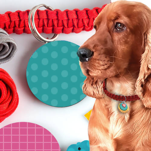 Chalk and Chuckles Art and Craft Gift- Dog Collar and Fleece Tug Toy