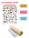 Sea Animal : Reference Educational Wall Chart By Dreamland Publications
