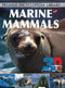3D - Marine Mammals: 1