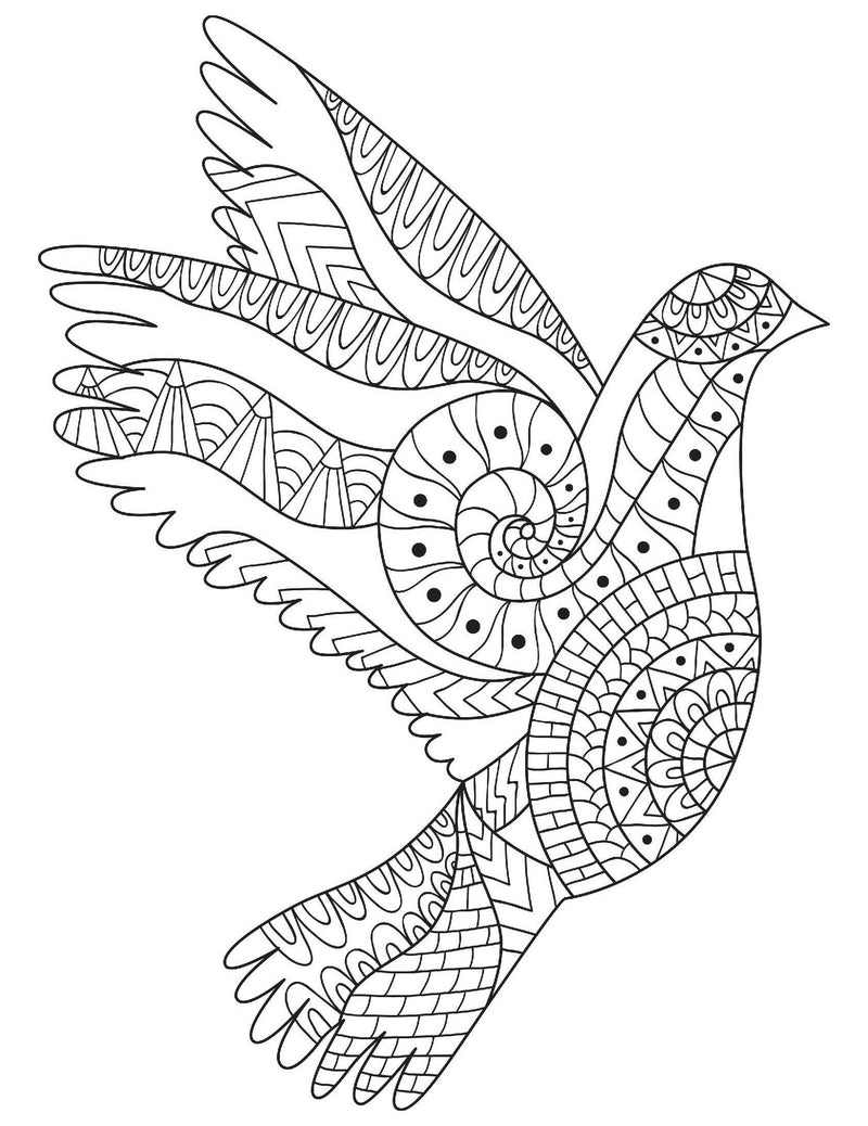 Mindfulness- Colouring Book for Adults : Colouring Books for Peace and Relaxation Children Book By Dreamland Publications 9789387177024
