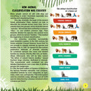Animals- Wow Encyclopedia in Augmented Reality : Reference Children Book By Dreamland Publications