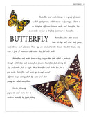 Paper Folding Part 2 : Interactive & Activity Children Book By Dreamland Publications 9781730158056