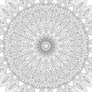 Refreshing Mandala- Colouring Book for Adults Book 2 : Colouring Books for Peace and Relaxation Book by Dreamland Publications 9789350897614