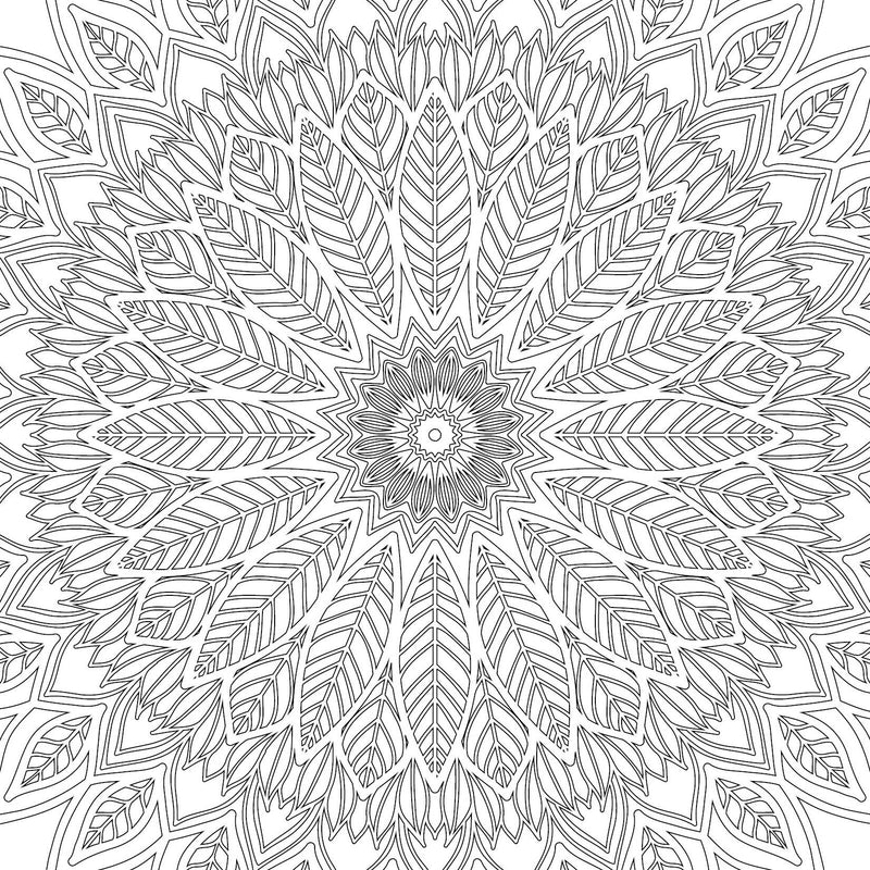 Refreshing Mandala- Colouring Book for Adults Book 2 : Colouring Books for Peace and Relaxation Book by Dreamland Publications 9789350897614