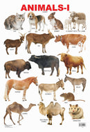 Animals-1 : Reference Children Book By Dreamland Publications