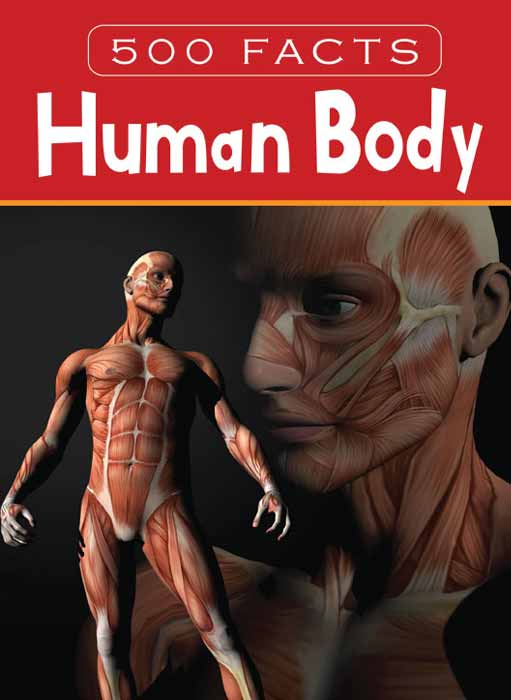 Human Body - 500 Facts