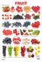 Fruit Chart - 2 : Reference Educational Wall Chart By Dreamland Publications 9788184516630