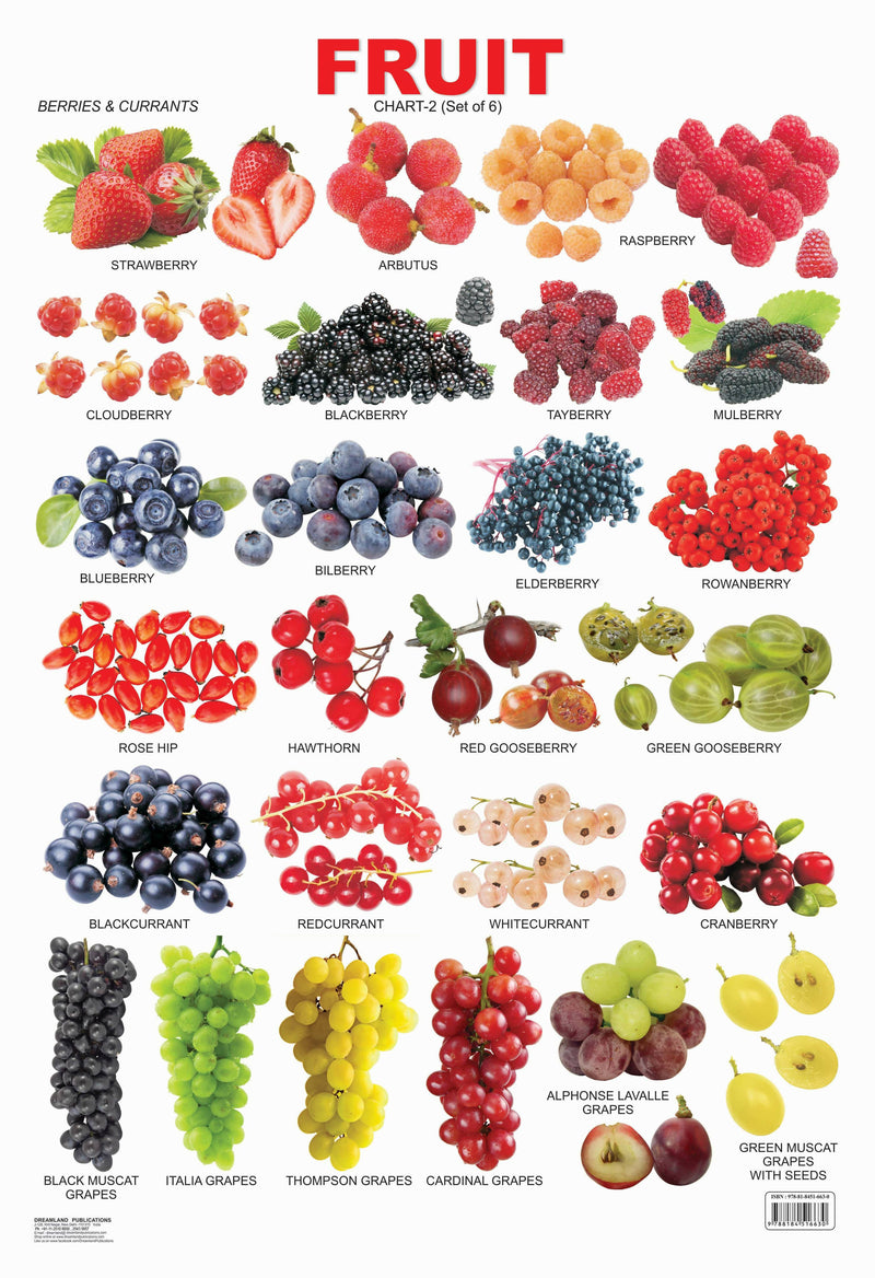 Fruit Chart - 2 : Reference Educational Wall Chart By Dreamland Publications 9788184516630