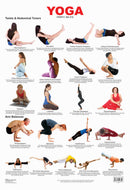Yoga Chart - 4 : Reference Educational Wall Chart By Dreamland Publications