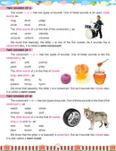 Basic English Grammar Part - 5 : School Textbooks Children Book By Dreamland Publications
