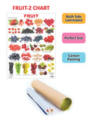 Fruit Chart - 2 : Reference Educational Wall Chart By Dreamland Publications 9788184516630