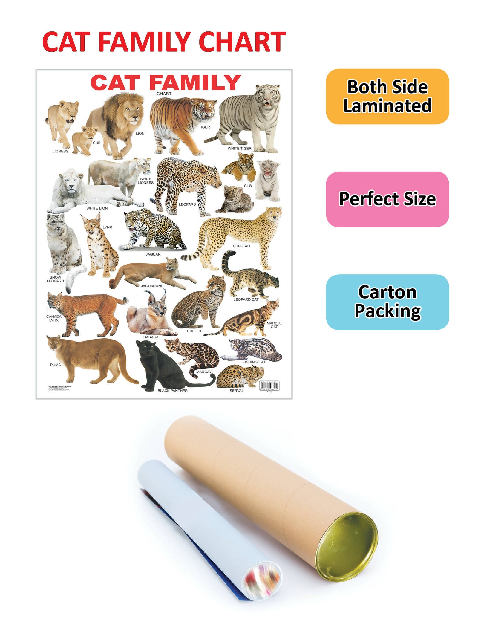 JoGenii | Cat Family Chart | Dreamland Publications